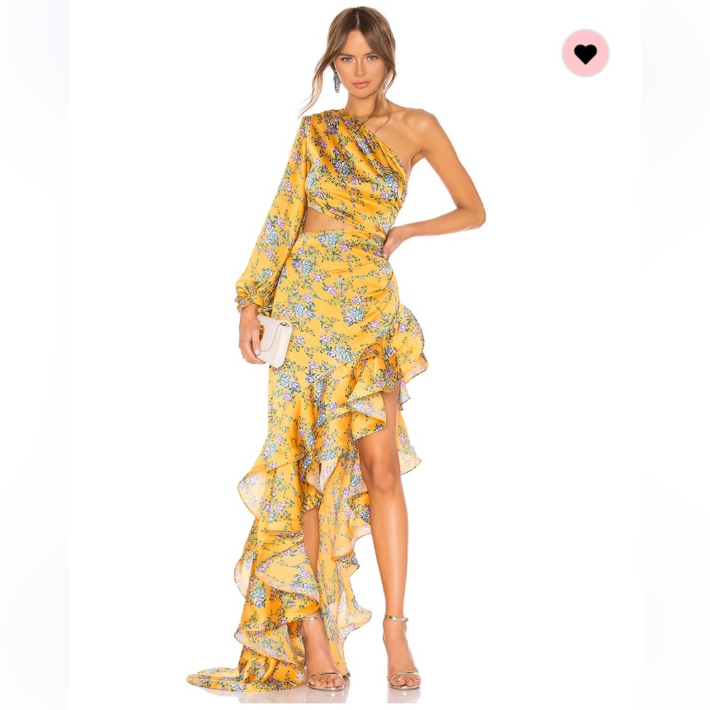NWT Bronx and Banco Hanna Gown